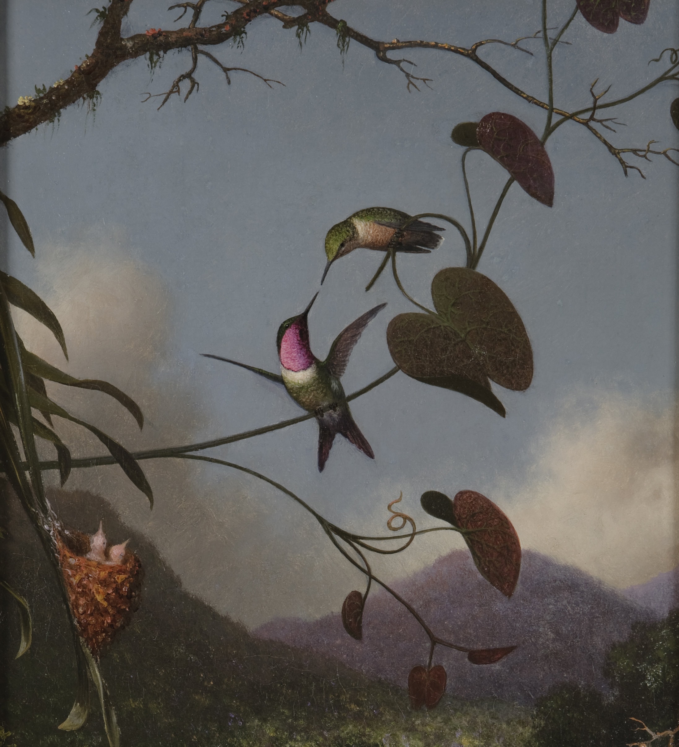 0009 Heade 800 x 880