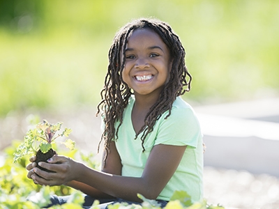 Planting in the Garden