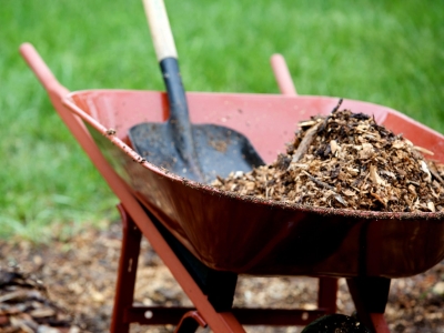 10-20-21-Trailblazer-Volunteer-Day-original-scaled_400x300_acf_cropped