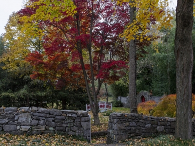 11-03-21-Morning-Garden-Walk-original-scaled_400x300_acf_cropped
