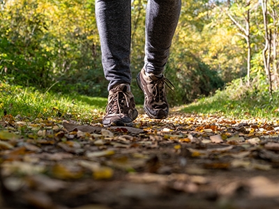 Legs Close Up stepping in the Forest