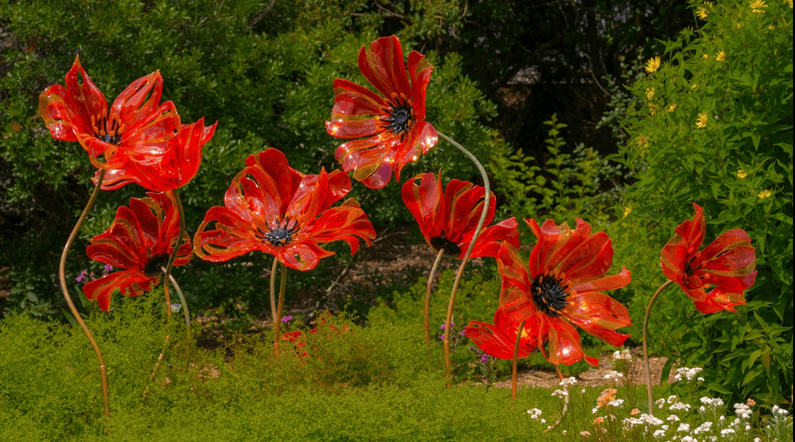 Gardens of Glass The Art of Craig Mitchell Smith Museum of the