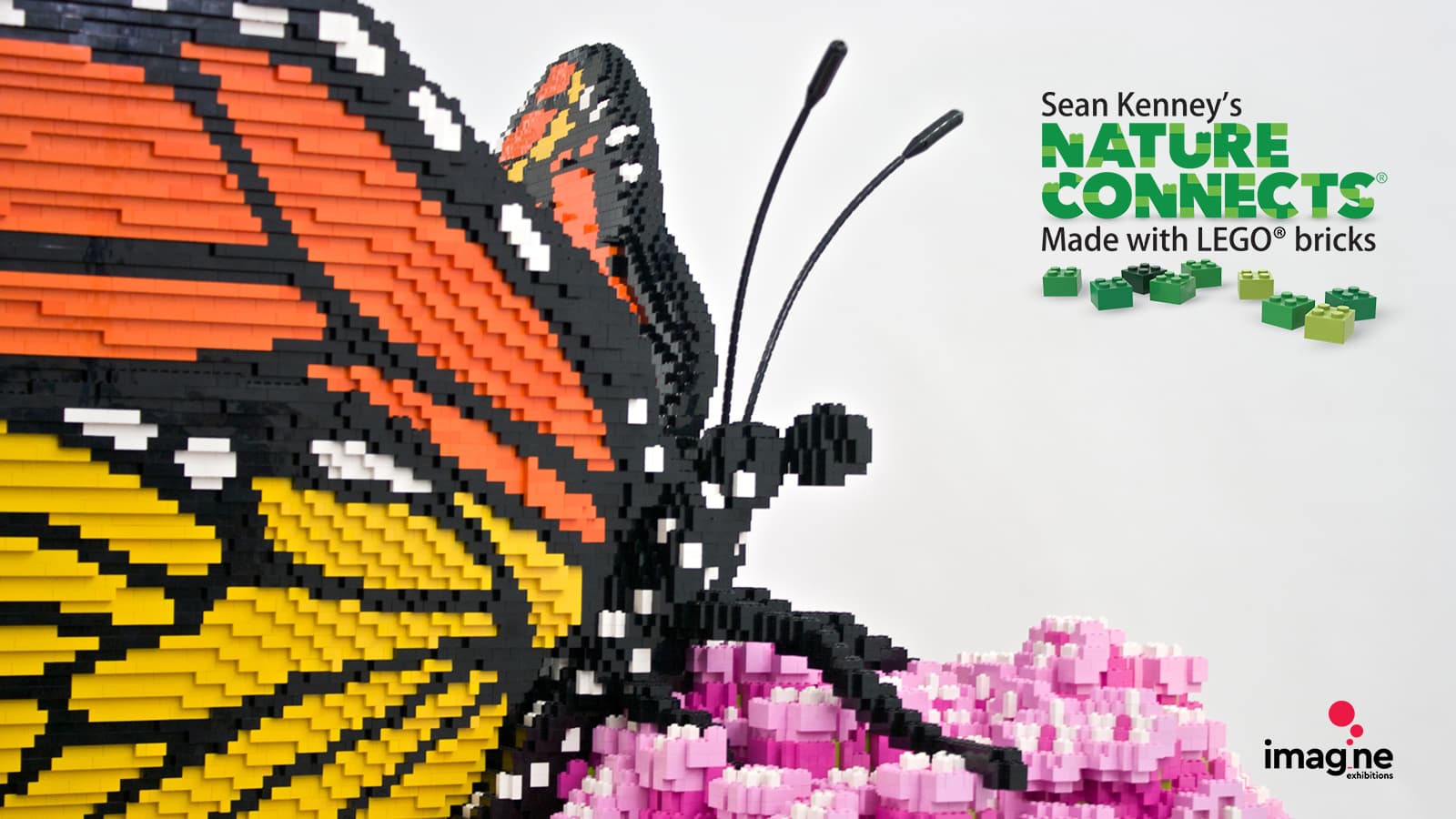 Sean Kenney's Nature Connects® Made with LEGO® Bricks