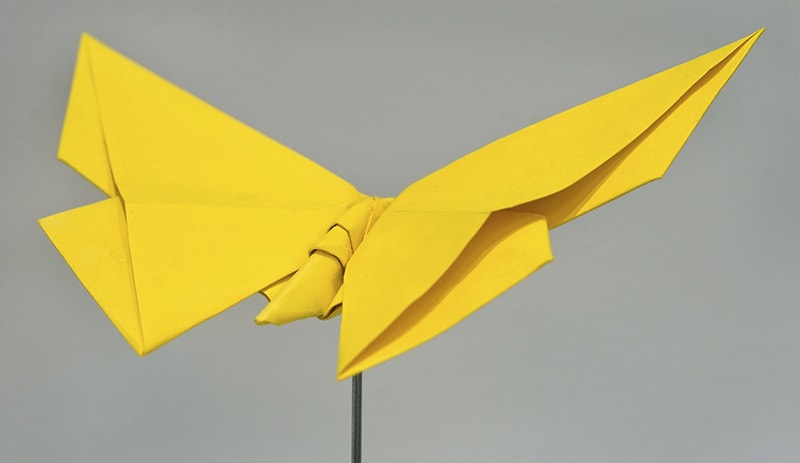 ORIGAMI IN THE GARDEN | Museum of the Shenandoah Valley